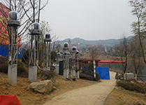 南充南湖公园灯光秀 (1)